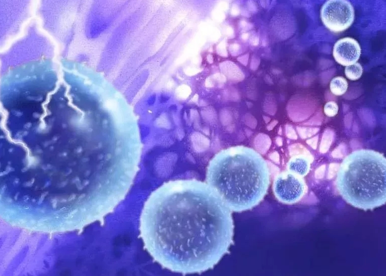 銀川伊百盛生物工程有限公司 銀川伊百盛生物工程有限公司