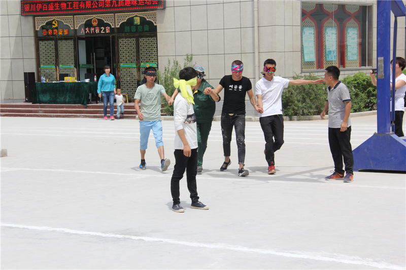 銀川伊百盛生物工程有限公司 銀川伊百盛生物工程有限公司