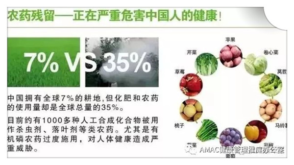 銀川伊百盛生物工程有限公司 銀川伊百盛生物工程有限公司