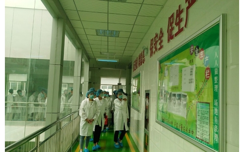 值公司成立十周年慶典，公司贊助萬名老人免費(fèi)游寧夏系列活動(dòng)