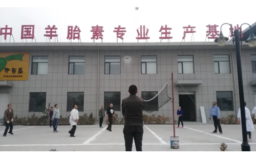 排球傳溫情，員工齊聚心