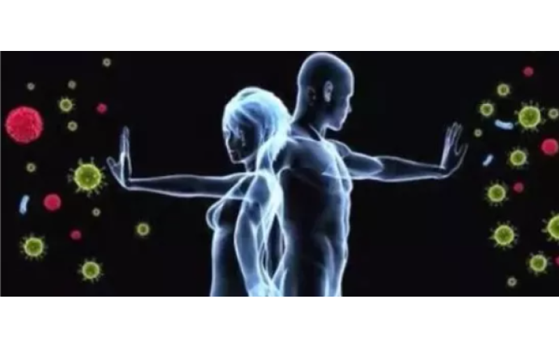 為什么補(bǔ)的是肽而不是氨基酸？