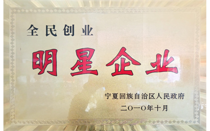 全民創(chuàng)業(yè)明星企業(yè)